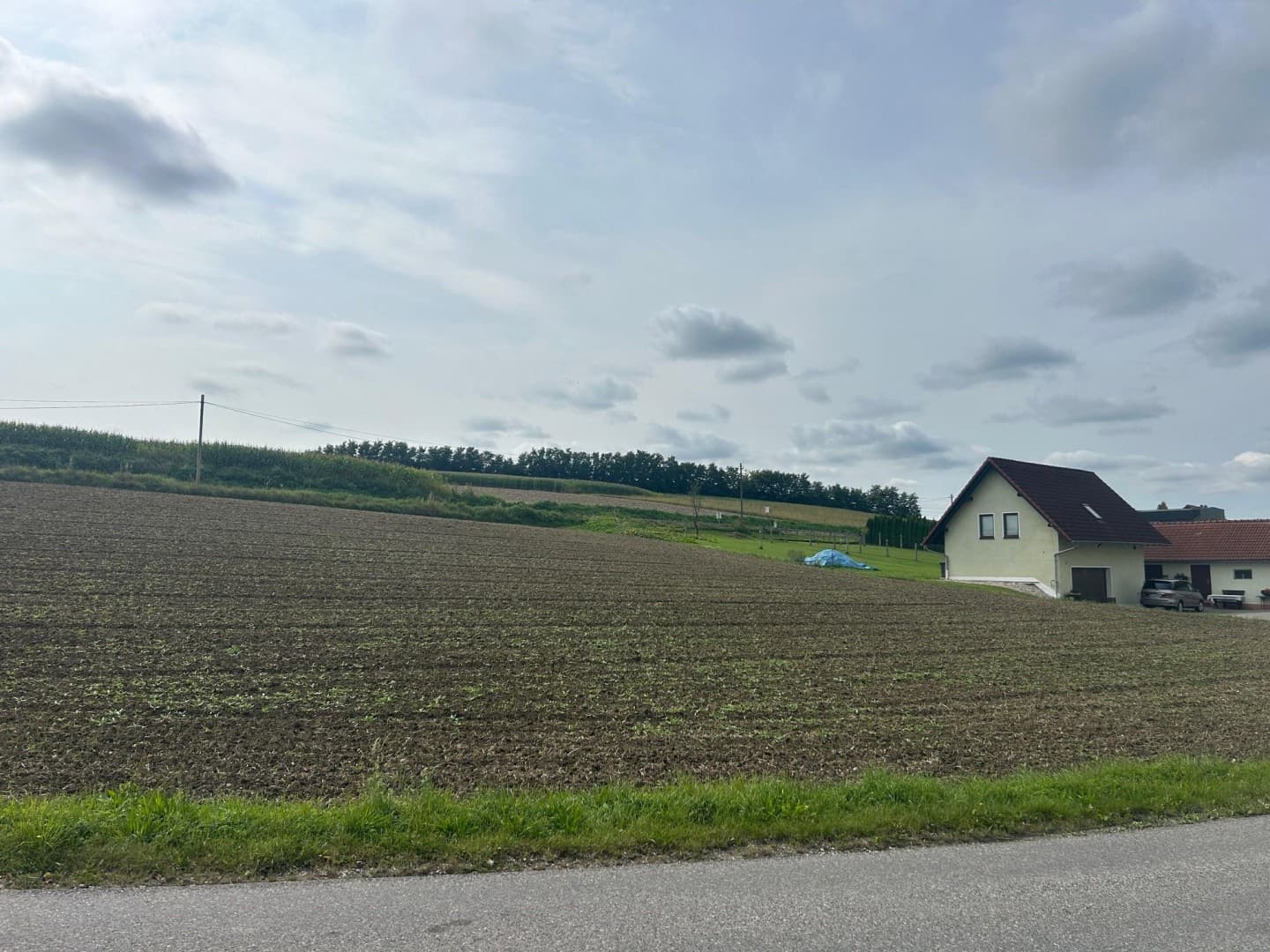 Gewerbegrundstück mit MB Widmung direkt an die Hauptstrasse B 137 angrenzend - Bild 1