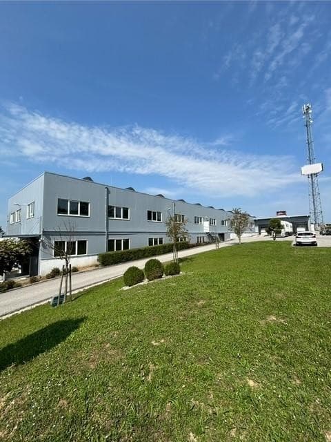 Hallen B Widmung in Eggendorf AKTUELL frei. 670 m2 EG und 1500 m2 im Seitengeschoß - Bild 1