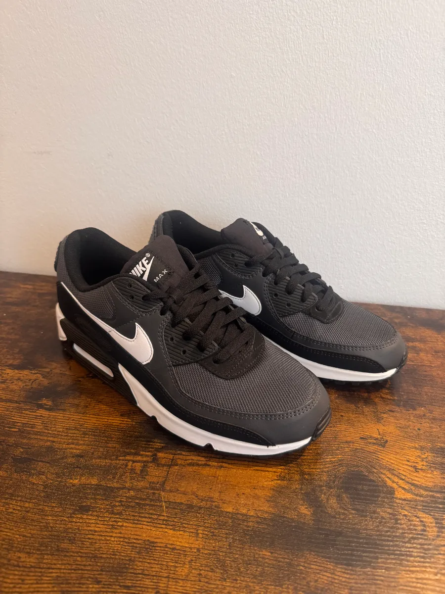 Nike Air Max 90 Iron Grey