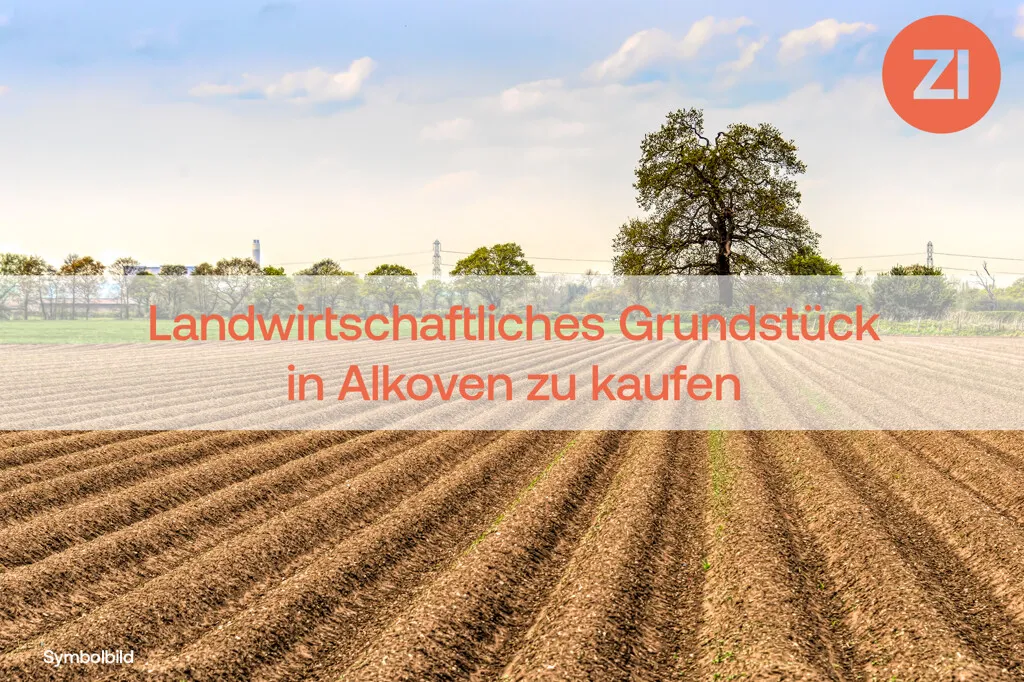 Landwirtschaftliches Grundstück im Alkovner Auenland