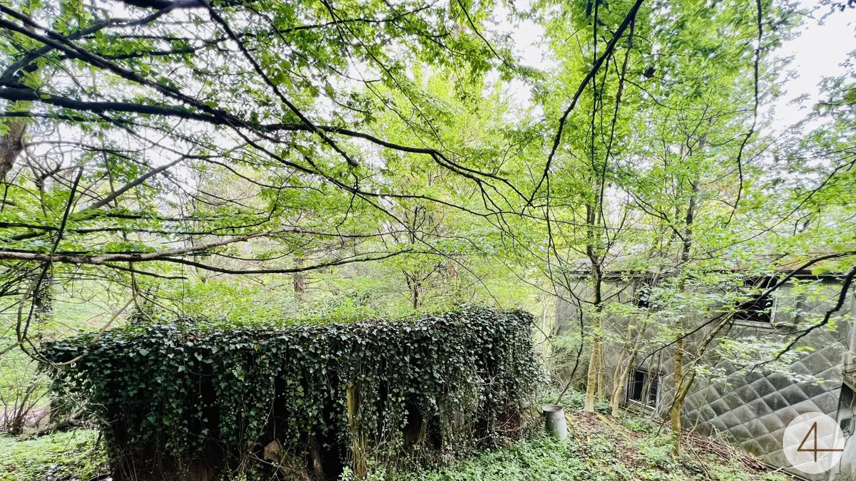 Baugrundstück in herrlicher Ruhelage - vor den Toren Wiens - grüner Weitblick übers Tal - gut bebaubar